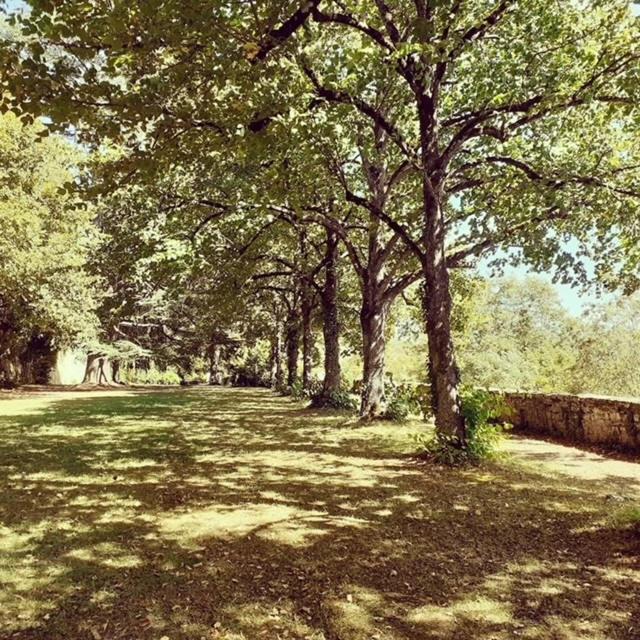 Domaine De Carriere Hotel Marvejols Exterior photo